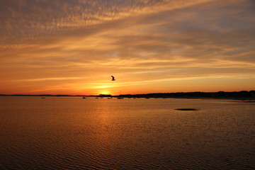 Coucher de soleil sur le bassin d'arcachon