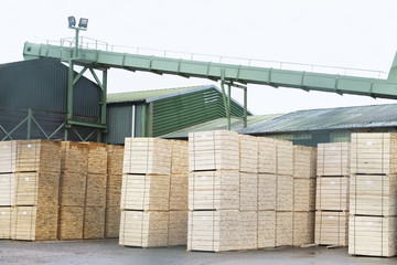 Stacked wooden pallets at wood sawmill and machinery