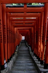 Der Gang ins G&ouml;tterreich 