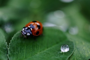 Was f&uuml;r ein Blick