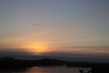 Coucher de soleil avec un vol d'oiseaux