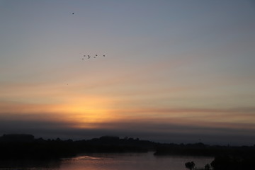 Coucher de soleil avec un vol d'oiseaux
