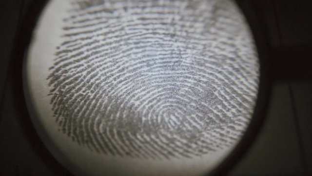 Dactyloscopic expertise of fingerprints. Macro shot.