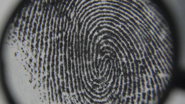 Expertise of fingerprints. Macro shot.