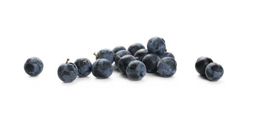 Fresh blackthorn berries isolated on white background