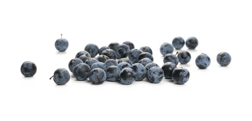 Fresh blackthorn berries isolated on white background