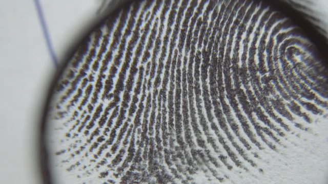 Dactyloscopic expertise of fingerprints. Macro shot.