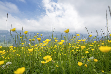 Kronberg Wolkentag 