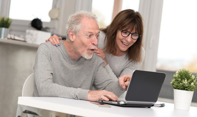 Happy mature couple having a good surprise on laptop
