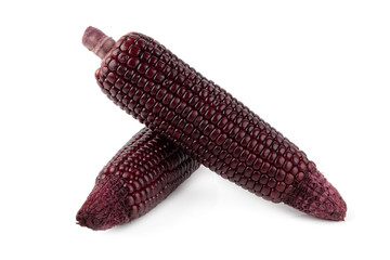 Fresh purple corns isolated on a white background