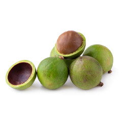 Macadamia nuts isolated on a white background