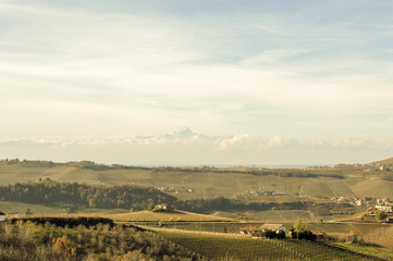 Wonderful view of the grape fields in autumn in Barolo valley with Monviso mountain in the background