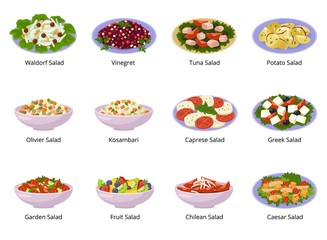 Salad vector healthy food with fresh vegetables tomato or potato in salad-bowl or salad-dish for dinner or lunch illustration set of organic meal isolated on white background