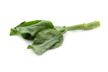 Chinese kale vegetable isolated on white background