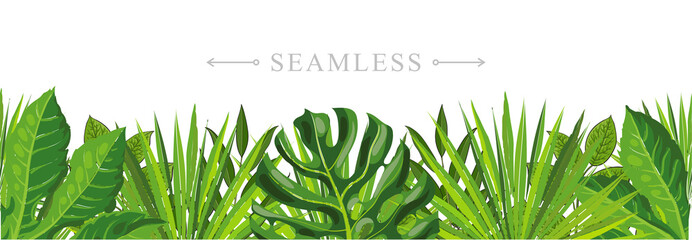 Tropical leaves seamless pattern border frame with space for text. Hand drawn sketch monstera, palm and fern floral decoration for fabric, textile or graphic design. Summer jungle vector background. © sabelskaya