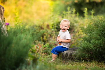Fototapeta na wymiar Happy boy at the age of two years sitting on an old tire of a tractor in green bushes on the background of a Sunny meadow