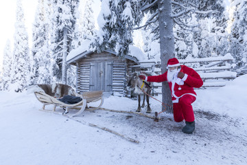 Santa Claus and reindeer, Ruka (Kuusamo), Northern Ostrobothnia region, Lapland, Finland