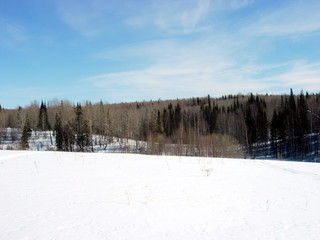siberia winter landscape