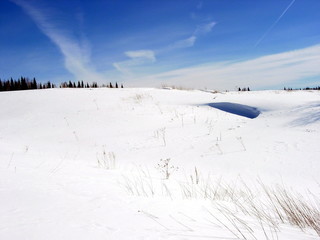 siberia winter landscape