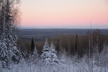 Fototapeta na wymiar Siberia winter forest taiga