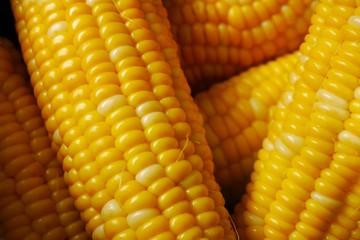 Corn detail view
