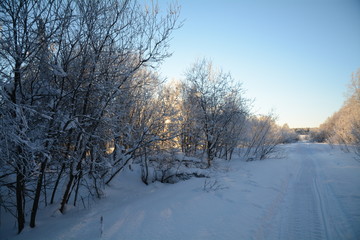 siberia winter landscape