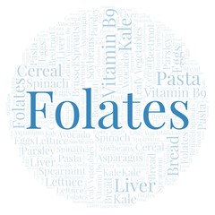 Folates in a circle shape word cloud.