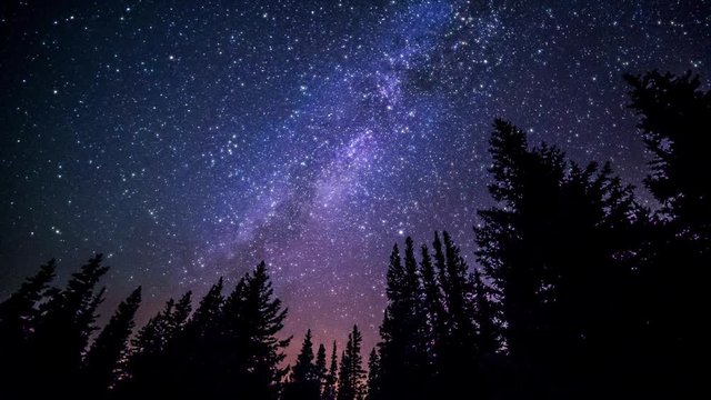 Twinkle stars at night in woods (forest). Milky way galaxy from Earth