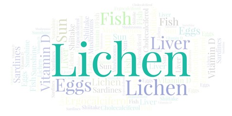 Obraz premium Lichen word cloud.