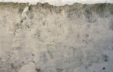 Grunge Wall Background Texture
