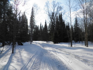 siberia winter landscape