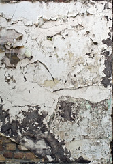 Grunge Wall Background Texture