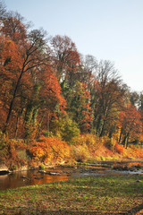 Olza river in Cieszyn. Poland