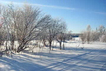 siberia winter landscape