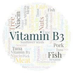 Fototapeta premium Vitamin B3 in a circle shape word cloud.