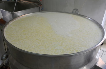 procedimento di preparazione della ricotta fresca in caseificio