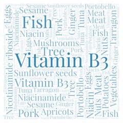 Vitamin B3 in a square shape word cloud.