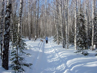 siberia winter landscape