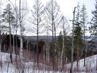 siberia winter landscape