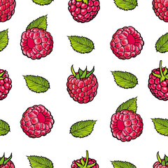 Raspberry seamless pattern with fresh ripe berries and green leaves in sketch style - hand drawn pink summer fruit backdrop. Natural organic sweet food in vector illustration.