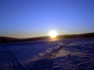 siberian taiga winter landscape