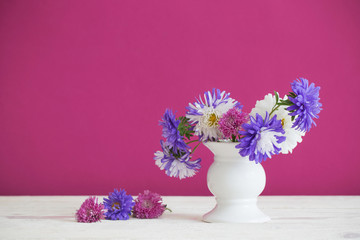 blue aster flowers in white vase