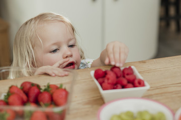 Looking for Some Fruit