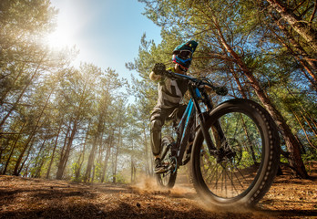 Mountain biker on forest trail. Male cyclist rides the rock