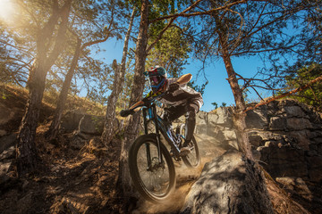 Mountain biker on forest trail. Male cyclist rides the rock