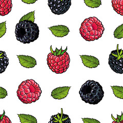 Raspberry and blackberry seamless pattern with fresh ripe fruits and green leaves in sketch style on white background - hand drawn summer backdrop with sweet food in vector illustration.