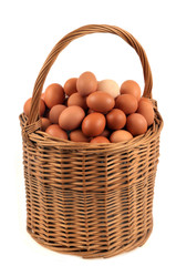 Panier d’œufs sur fond blanc 