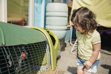 Excited to see the Chickens