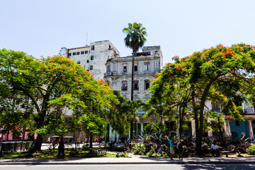 Havane