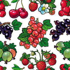 Summer berries seamless pattern with fresh ripe fruits and green leaves in sketch style on white background. Hand drawn natural backdrop with organic sweet food in vector illustration.